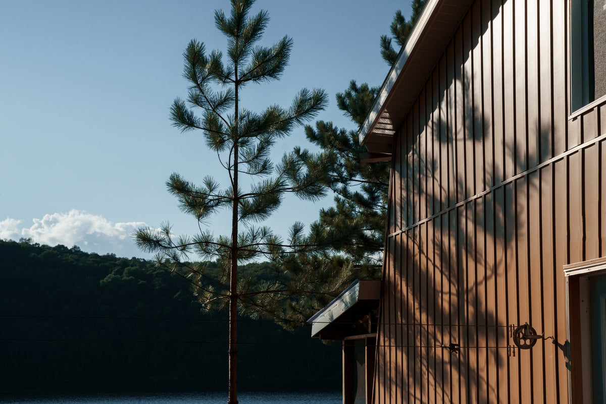 Cedar outdoor sauna cabin by a lake surrounded by tall pines
