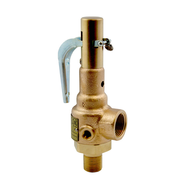 Mr.Steam Valve, Safety, 15 PSIG, 1/2
