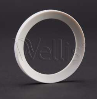 Compensator ring for 2" jet body v5 — Wellis Part #AJ00288