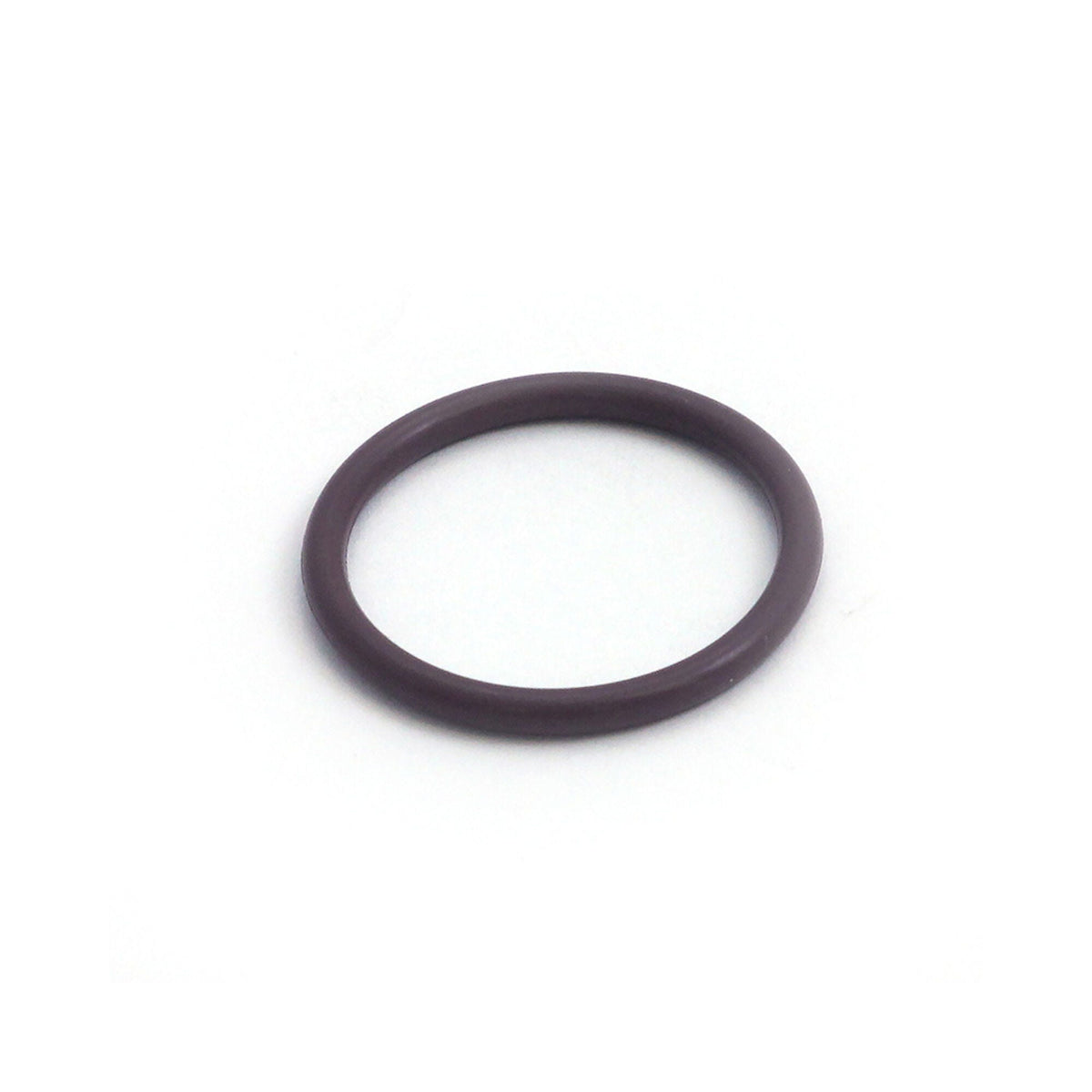 O-Ring, Retainer Ring, Waterway, — Waterway Part #805-0219V