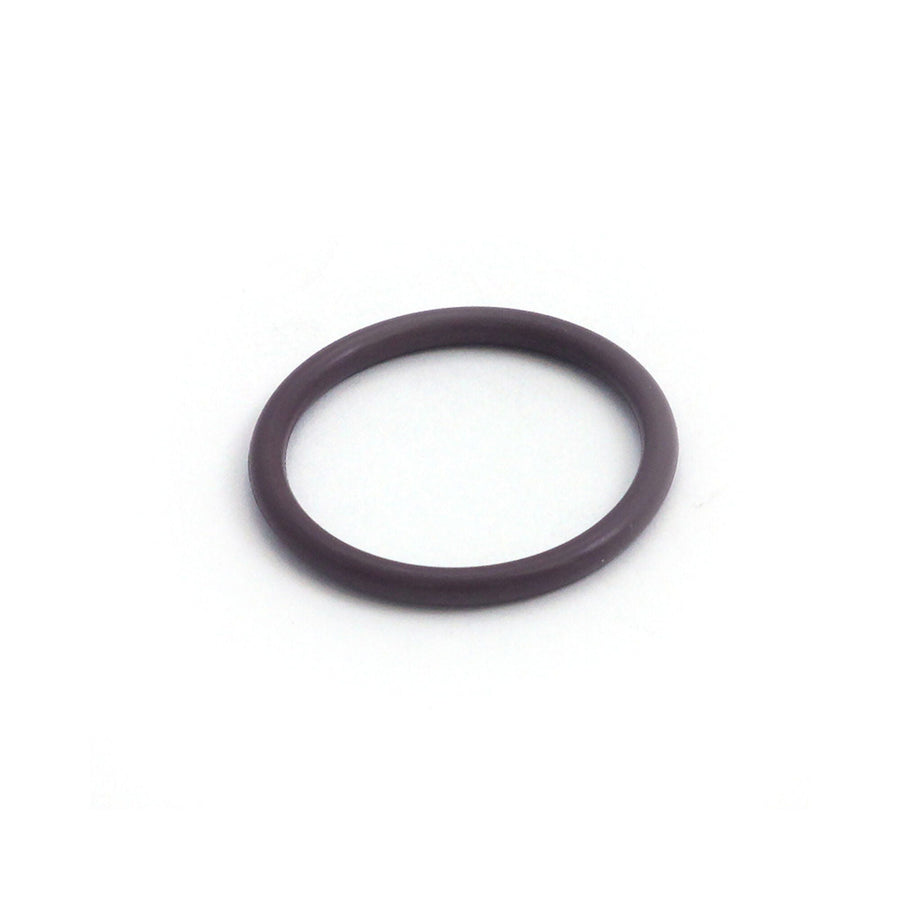 O-Ring, Retainer Ring, Waterway, — Waterway Part #805-0219V