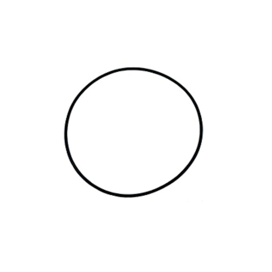 O-Ring, Pump Volute, Waterway, Hi-Flo, 5-3/4"ID x 6"OD — Waterway Part #805-0256