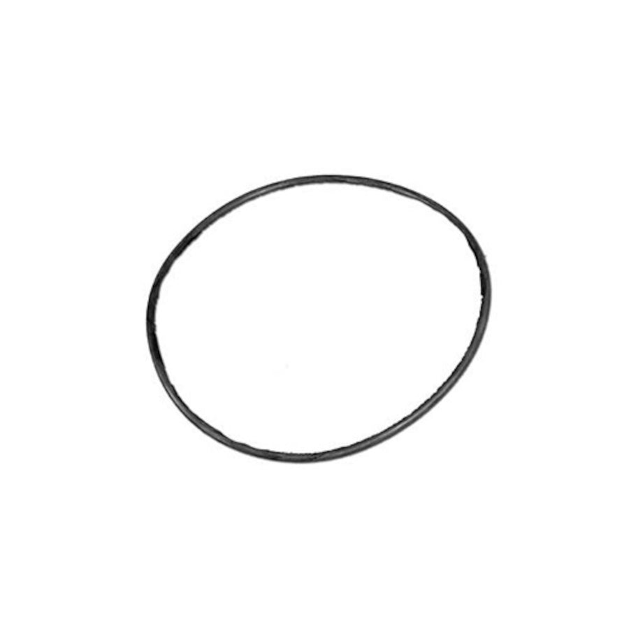 O-Ring, Filter Lid, 5-7/8"ID x 6-1/4"OD x 3/16" Cross Sect. — Waterway Part #805-0360