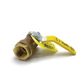 Delta Manual Drain Valve 1/2"