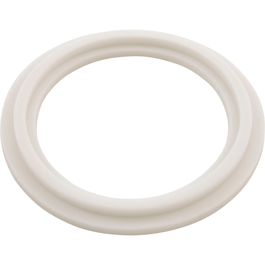Union Heater Tailpiece Gasket/O-Ring,BALBOA — Balboa Part #21619