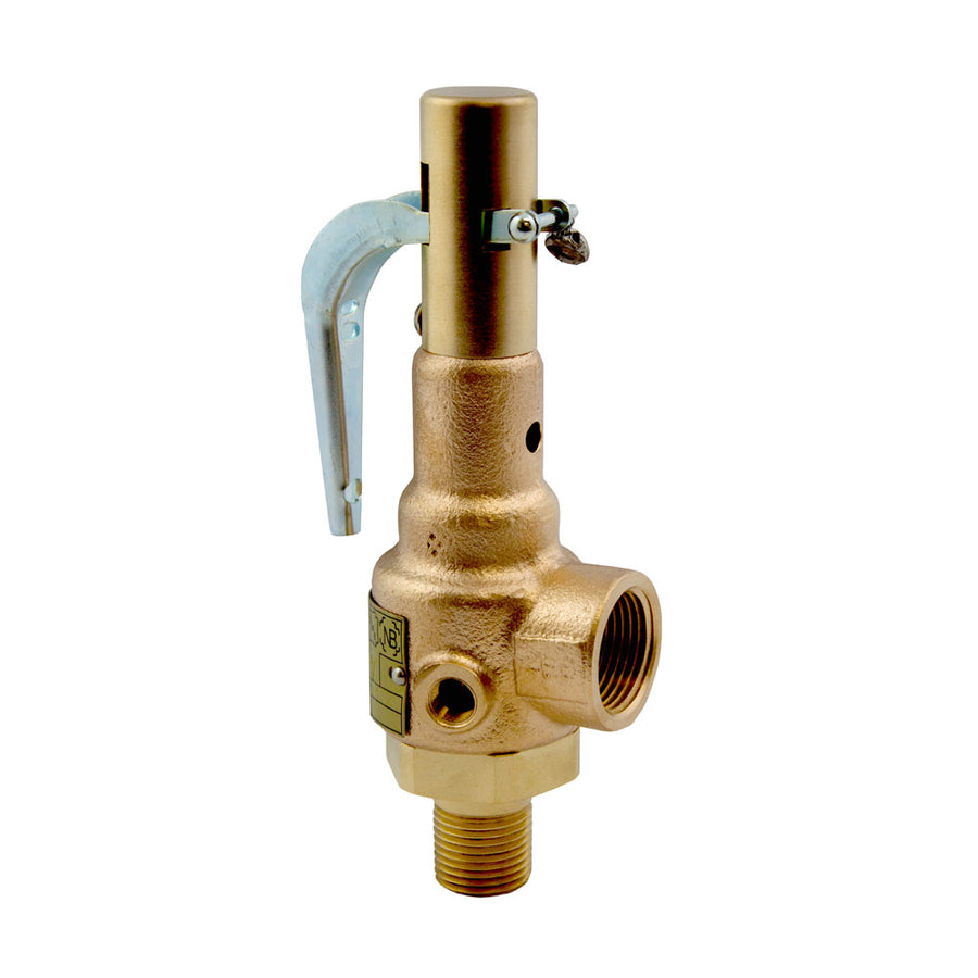 Mr.Steam Valve, Safety, 15 PSIG, 1", CU4500