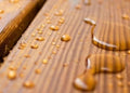 Harvia Sauna Wood Paraffin Oil, 16.9oz (500ml) - view 2