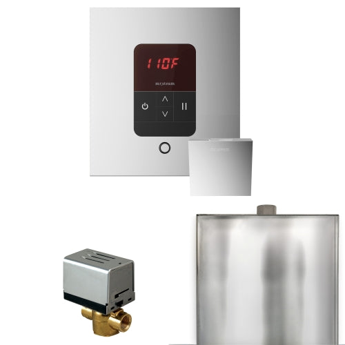 Mr.Steam Basic Butler Steam Shower Control Package w/ iTempo Control and Aroma Designer Finish SteamHead - view 2