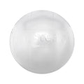 Mr.Steam Acrylic Shield for Commercial SteamHead