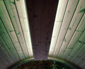 SaunaLife Color LED Light System for Ergo Series Sauna Barrel