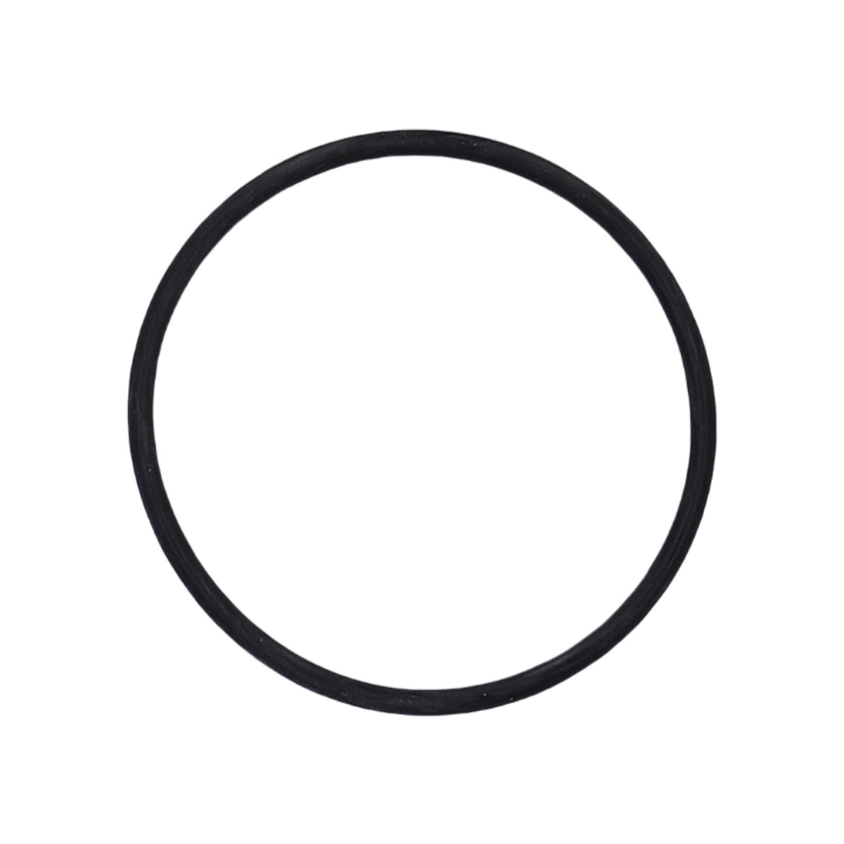 O-Ring, Union, Waterway, 2-1/2" — Waterway Part #805-0232