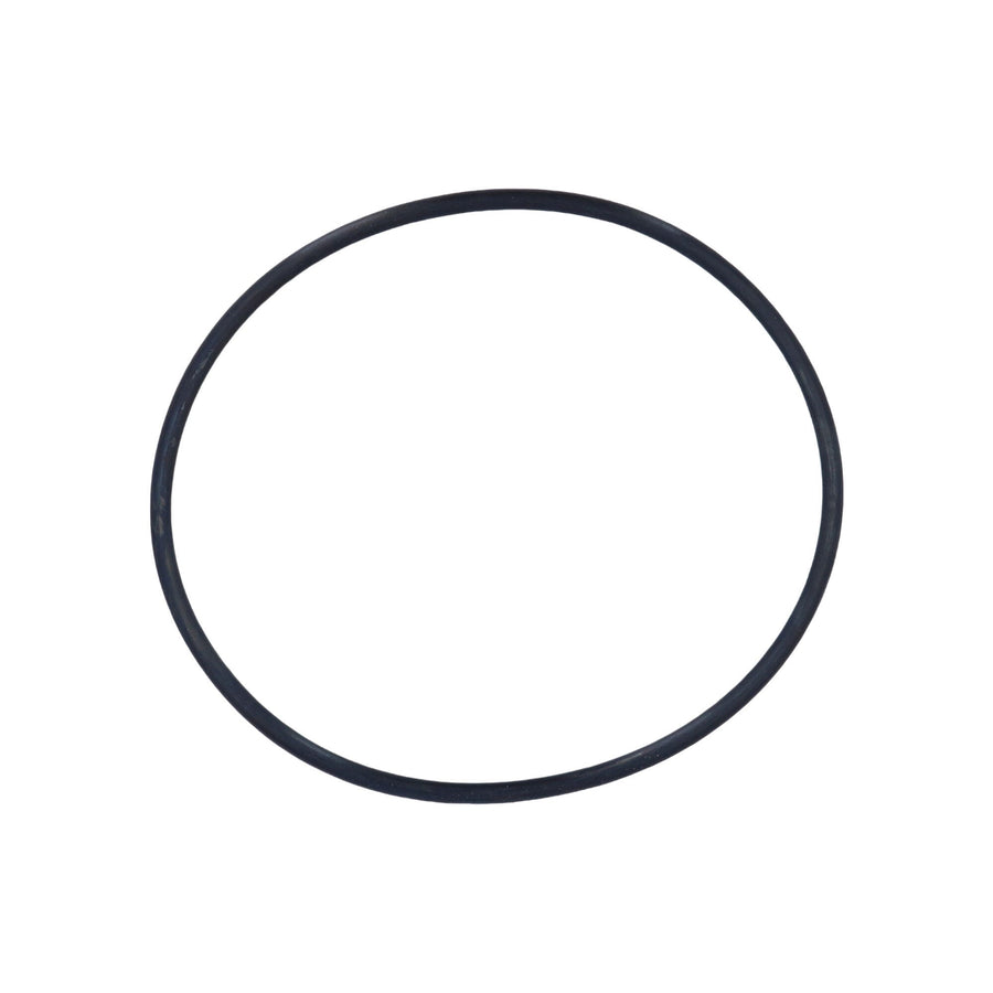 O-Ring,Filter Lid, RAINBOW,RTL/RDC Series — Rainbow Part #R172223