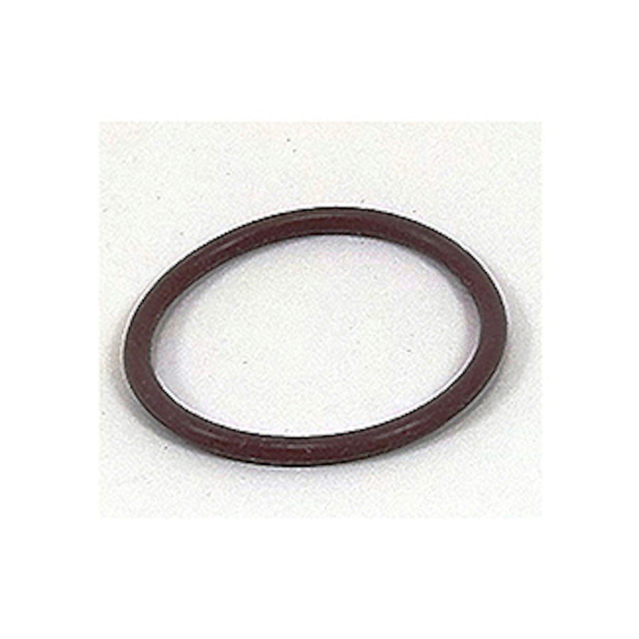 O-Ring, Master Massage Internal, 124 Viton — Waterway Part #805-0124V