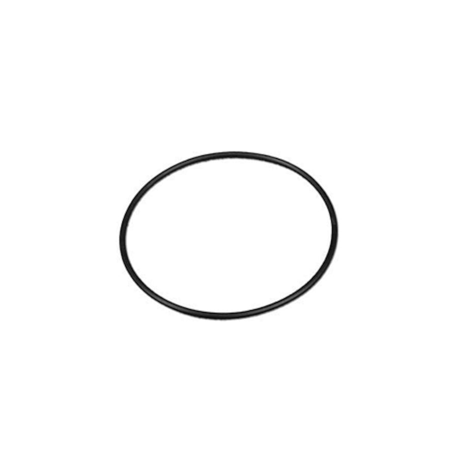 O-Ring, Valve, Waterway, Tru Seal Diverter, 3"ID x 3-1/4"OD — Waterway Part #805-0151