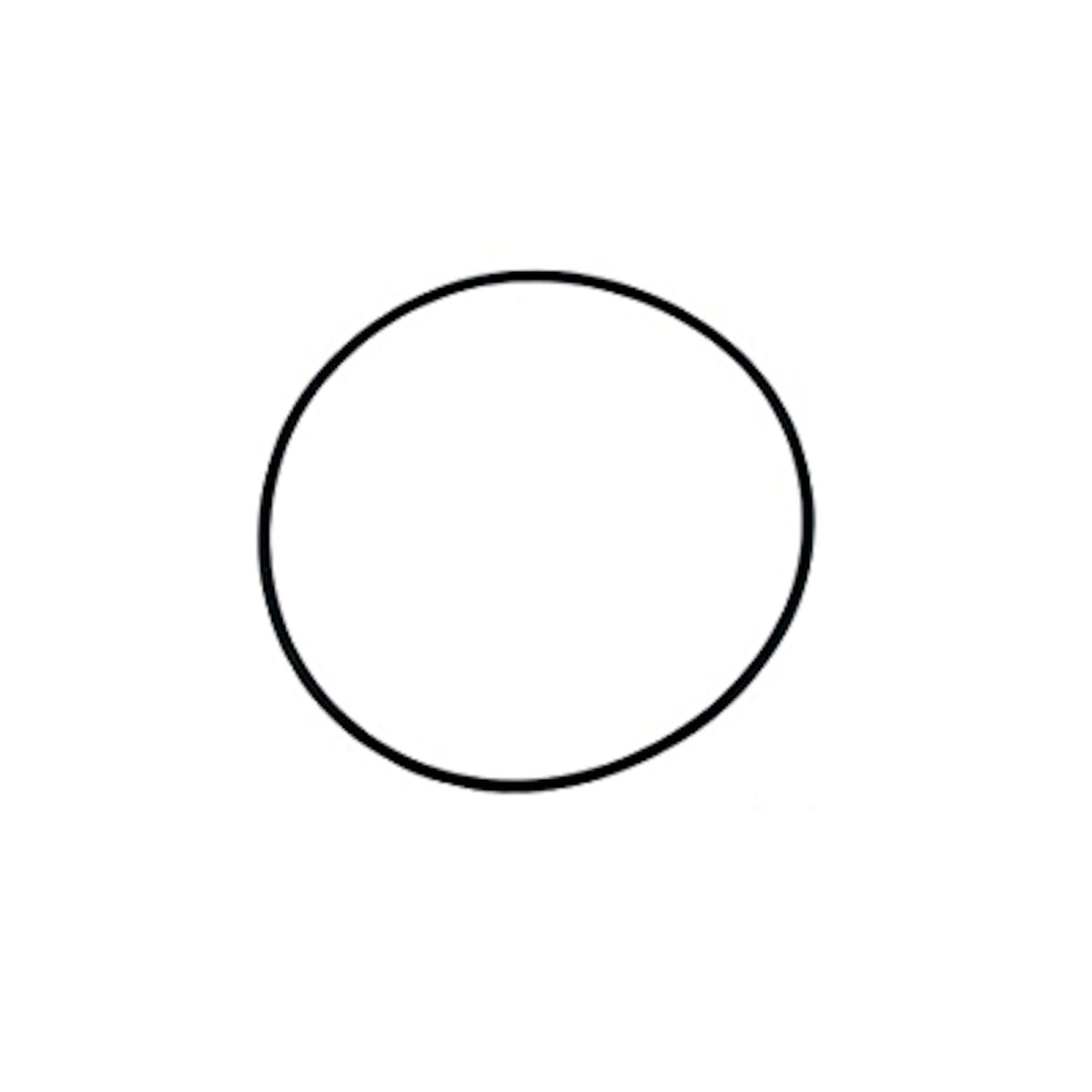 O-Ring, Pump Volute, Waterway, Hi-Flo, 5-3/4"ID x 6"OD — Waterway Part #805-0256