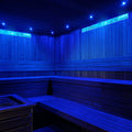 Prosaunas Customizable Genuine Himalayan Sauna Light Kit - view 3